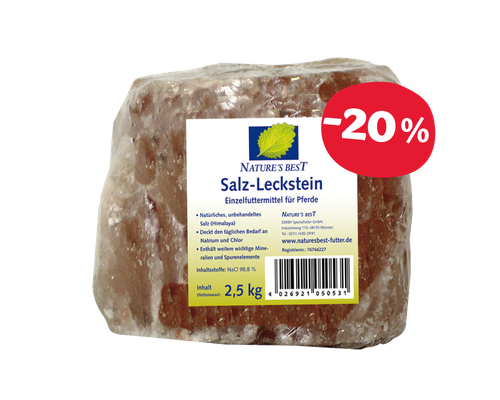 NATURE'S BEST Salz-Leckstein