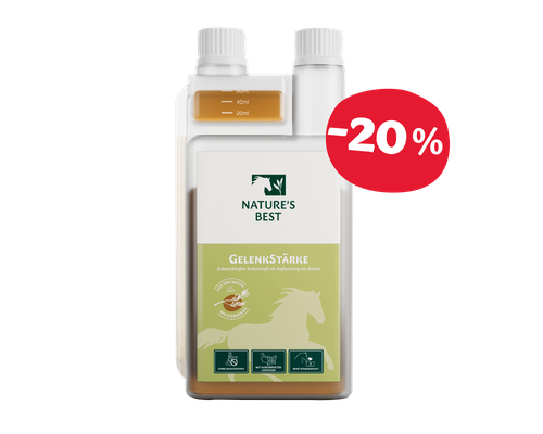 NATURE'S BEST GelenkStärke